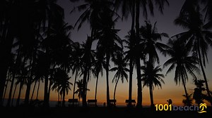 Best beaches in Cebu