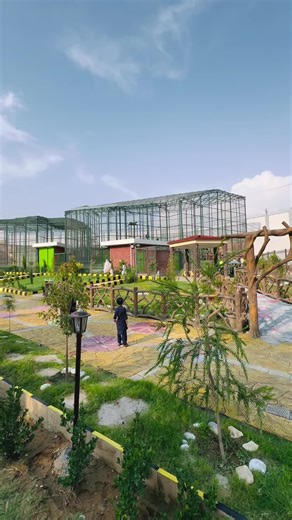 Exploring the Township Zoo Experience