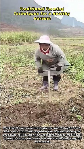 Traditional Farming Techniques for a Healthy Harvest