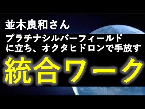 第94回 並木良和さん統合ワーク ～プラチナシルバーフィールドに立ちオクタヒドロンで手放す～