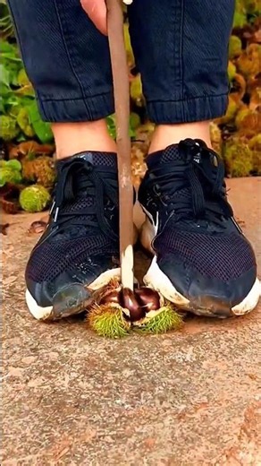 unique way to remove chestnut seeds #shorts