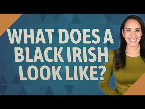 What does a black Irish look like?