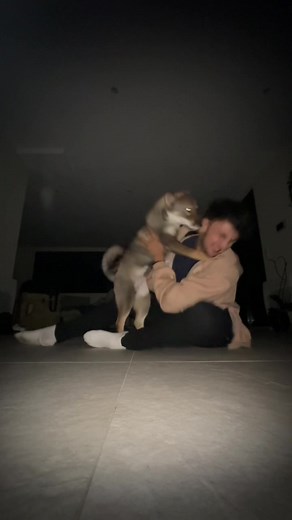 Test de lien affectif entre un chien et son propriétaire