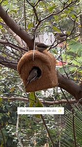 7.1K views · 1.6K reactions | Happy National Bird Day  #birdwarching_with_radhika #explore #birdduniya #reelitfeelit #birdworld #viral #trending [ national bird day, India] | Birdwatching_with_Radhika | Facebook