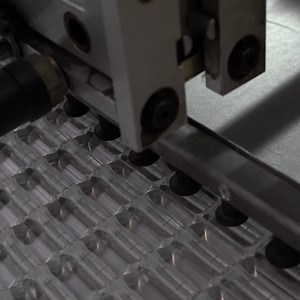 25 reactions · 5 comments | The Journey of our Spirit Level  14....