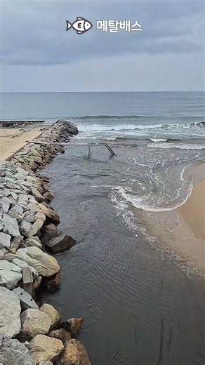 거진해변 자산천 바다투망실황, 고성 동해바다 거진항 차박캠핑여행, 갯터짐 시원하고 깜깜이투망모드, 숭어전어학꽁치투망, 동갈치투망낚시, castnet, fishing, pesca