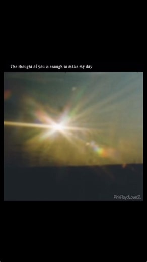 #fyp#pinkfloyd#her#him | pink floyd