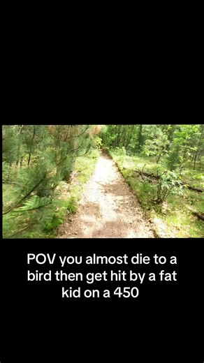 Trail POV: Almost Hit by Bird, Then Struck by Rider