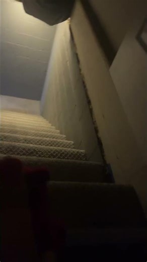 Slushie aphmau cat after 6 hour vr: