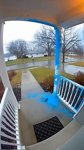 Porch Pirate Meets Colorful Surprise Indianapolis, Indiana — November 12, 2025 Neighborhood residents in a quiet Indiana suburb have been on high alert after a string of package thefts plagued the area during the early holiday season. One clever homeowner decided to take matters into their own hands, rigging a decoy box with a high-tech deterrent to catch the perpetrator red-handed—or rather, blue-faced. The doorbell camera footage captures the moment a hooded figure brazenly walks up to the fro