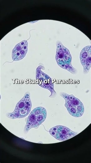 Define parasites I parasitology #learning #science #biology