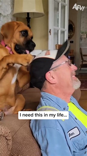 Some real Best Friend Energy coming off of this video! 🤣 #afv #dogs #cute | America's Funniest Home Videos