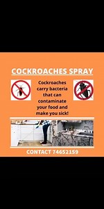 31 reactions | Buffalo Pest Control on Reels | Facebook