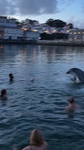 262K views · 3.1K reactions | ✨  El mágico momento que vivieron un...