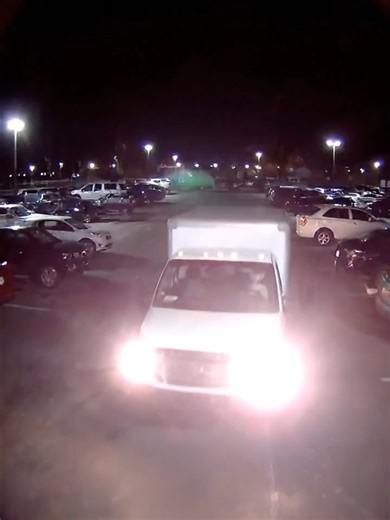CCTV Catches Dog Honking Truck in Dark Parking Lot 😳🚚🐶