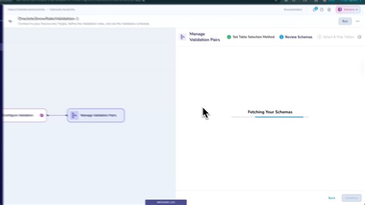 Validata - Run Validation