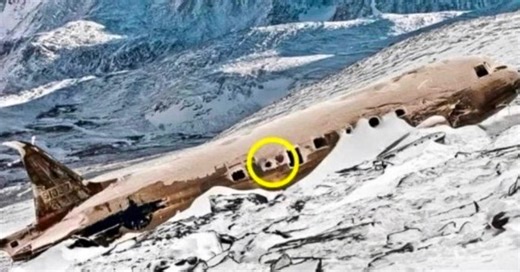 A LOST PLANE was found after decades researchers are STUNNED when they SEE what's inside you will not believe what they found😱 Photos are in the first comment👇 | Faith Brings Hope and Strength