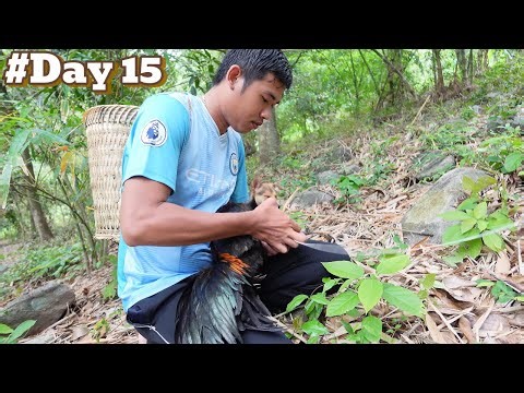 Catching Wild Chicken & Steaming in Clay Pot with Lemongrass | Peaceful Off Grid Cooking– Episode 15