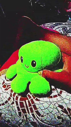 YTP The Eels On The Bus REVERSED