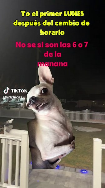 Meme Trends to Watch in 2026