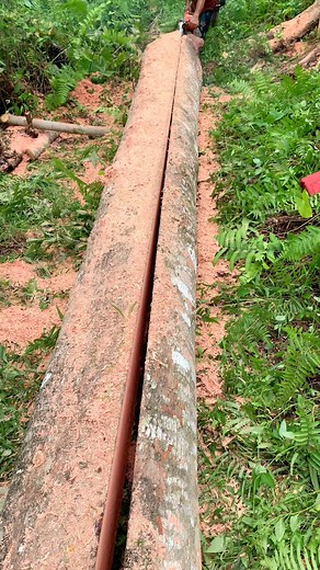 30K views · 493 reactions | Kayu bayur. forest child chopping large pieces of wood | Reki Fernando | Facebook