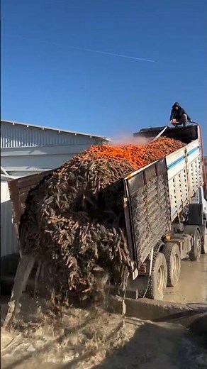 மண் | Facts in Tamil | #shorts #trending #Athar