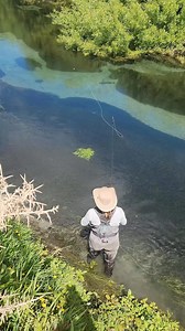 27K views · 1.2K reactions | Girl vs. New Zealand brown trout on a spring stream. Does she land the fish? Watch to find out   @thebumdiary . . . . #thebumdiary #flyfishingnation #flyfishingaddict #flyfishingadventures #flyfishing #flyfishnz #flyfishingjunkie #womenwhoflyfish #newzealand #browntrout #flyfishingreel #fishingreel #optoutside #springstream #browntroutflyfishing #flyfishingnewzealand | In the Loop Magazine | Facebook
