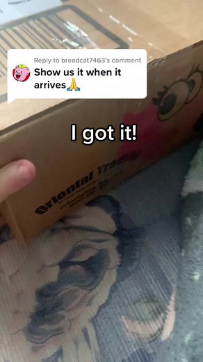 Replying to @breadcat7463 #jesusplush I GOT THE PLUSH