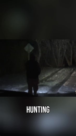 5.8K views · 144 reactions | A tense scene unfolds as a brave soul steps into a dark, mysterious outdoor space. Is it bravery or recklessness? The group debates the dangers, fueling our curiosity about what—or who—awaits. What do you think they'll find? #Mystery #Adventure #Bigfoot #Unexplained #Exploration #Darkness | SVC Explorers Of The Unknown | Facebook