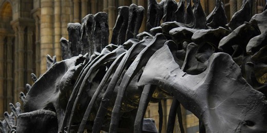 Ancient dinosaur mummies with hooves were preserved in this strange way