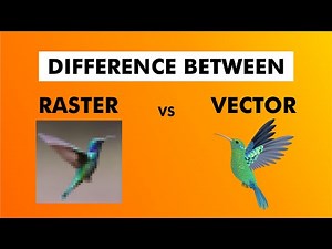 What is Raster and Vector | Difference Between Raster and Vector