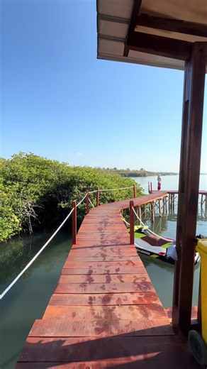 Cantiknya Ekowisata Mangrove Paremas🍃 Lokasi : Desa Paremas (Pertigaan serumbung belok kiri) In collaboration with @Coral Reef Care @Indonesiabirufoundation @Bank NTB Syariah