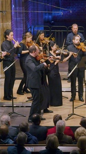 Whole orchestra freezes 😉❤️ #music #baroque #telemann #violin #concert