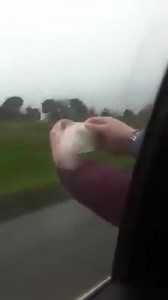 This is what happens when you put a condom out the window | On vines