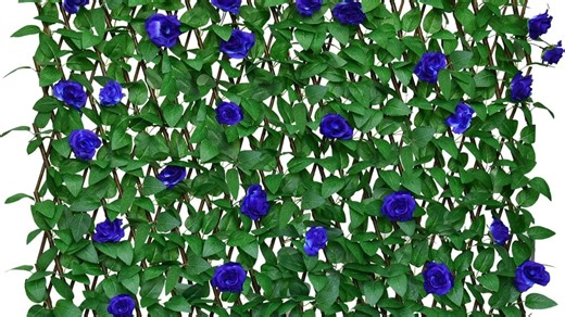 Amazon is selling an 'expandable' privacy fence for just $39.99