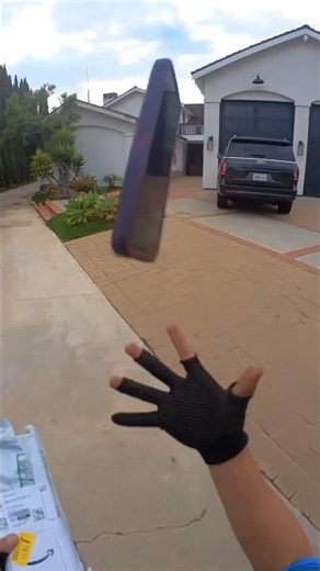 POV: Amazon delivery done in seconds!