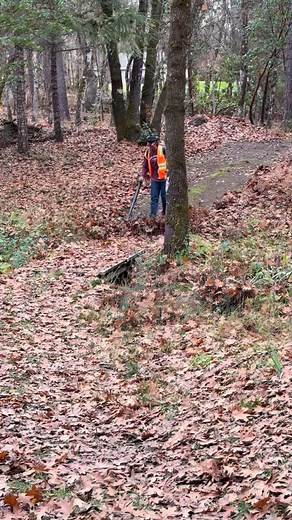 Flow pattern. | Alexander Albright