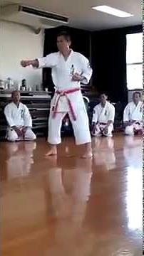 沖縄小林流空手志道館藤田道場 藤田館長演武