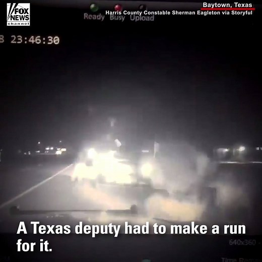 574K views · 3.6K reactions | MOO-VE IT!: A Texas deputy had to make a run for it after being called to investigate an accident between a car and cow. | Fox News | Facebook