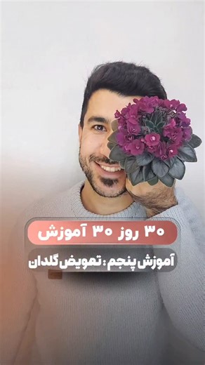 ‎گلخانه بنفشه جانان‎ on Instagram‎: "پنج از سی تعویض گلدون بهش میگیم شیش به هشت راحت ترین کار عملی توی بنفشه😄 #بنفشه"‎