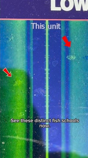 This is what big Striper schools will look like on side imaging #fishing #fishingvideo #fishingtips