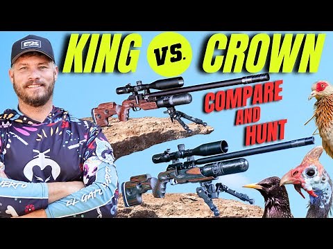 FX KING V.S FX CROWN I AIRGUN HUNT AND COMPARE I PEST CONTROL WITH AIRGUN HUNTING