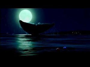 LE MONDE DE NEMO - Teaser VF