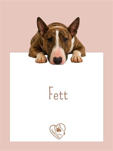 🥑 Fette – Energie, Schutz und Geschmack für deinen Hund Fette sind der Hauptenergielieferant im Hundefutter und erfüllen viele wichtige Aufgaben: - Sie polstern Pfotenballen und Zehen, Bauch und Organe und schützen so den Körper. - Sie helfen beim Transport von Nährstoffen und fettlöslichen Vitaminen. - Cholesterin und Lipoproteine unterstützen die Fettverdauung und Aufnahme. - Fette bilden eine Schutzschicht der Haut und tragen zum Geschmack und zur Akzeptanz des Futters bei. - Sie sind auch e