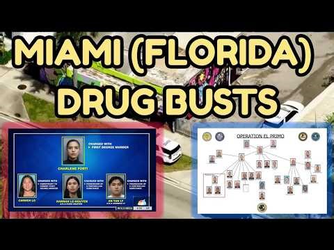 Miami Drug Busts: Florida's Major Cases Exposed Across the City