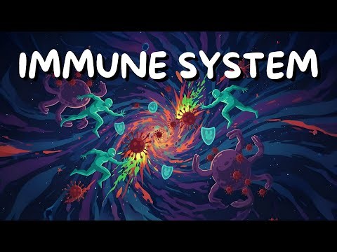 Immune System Explained: How Your Body Fights Disease in 2 Minutes