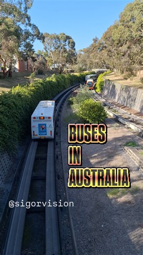 Buses in Australia. Follow @sigorvision Adelaide Bus O-Bahn #Australia #bus #busobahn #sigorvision #Adelaide #adelaidebusobahn #obahn #publictransport #railway #tracks #guidedbusway #guidedway #busway #sigormusic #adelaidemetro #engineering #notraffic #southaustralia #metro #transportation | sigorvision