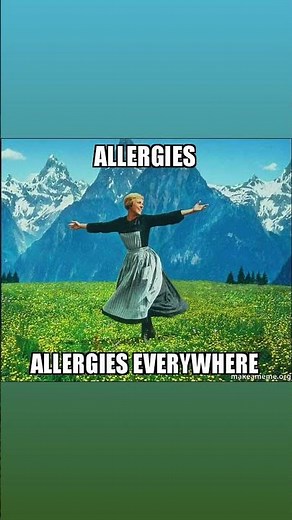 Allergies everywhere: a hilarious meme about seasonal allergies#allergies #allergyseason