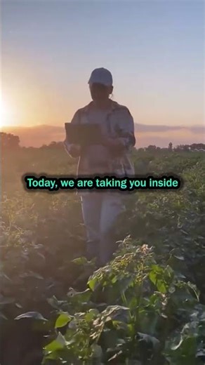 Inside the AI Agriculture Ecosystem Launch in Abu Dhabi Boosting Farmer Resilience