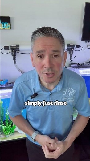 How to Clean Algae Off Aquarium Decor